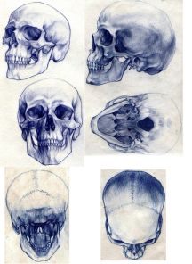 skeleton skull blue ball point pen
