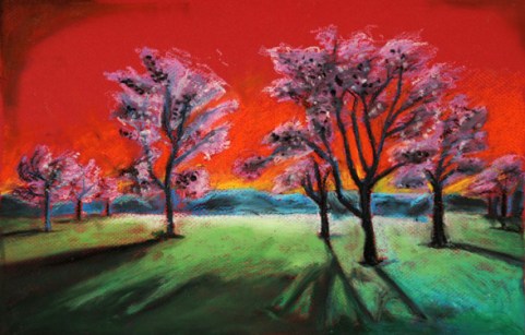 carrie king fauve tree