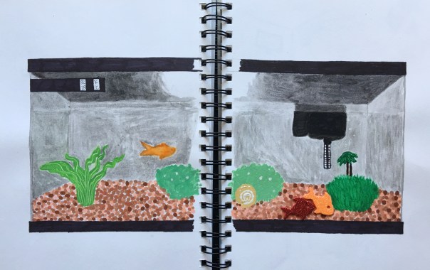 SKBK Open Choice Sample 1